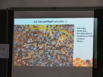 3. un 4. klases skolēni iepazīst bitenieka amatu.