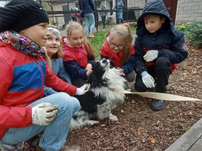 Labo darbu nedēļa