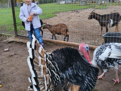 Pirmās klases apmeklē mini zoo Karlīnas 15.10.2024