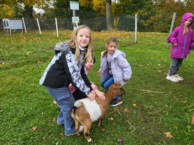 Pirmās klases apmeklē mini zoo Karlīnas 15.10.2024