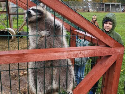 Pirmās klases apmeklē mini zoo Karlīnas 15.10.2024