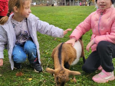 Pirmās klases apmeklē mini zoo Karlīnas 15.10.2024