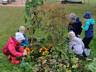 Rudens ražas svētki pirmsskolā