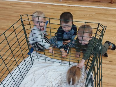 PII ciemojas Moni Zoo Karlīnas