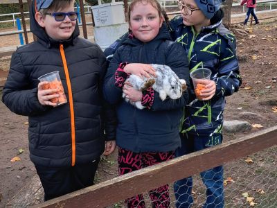 Pirmās klases apmeklē mini zoo Karlīnas 15.10.2024