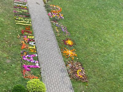 18.-22.09.23 Veidojam dabas materiālu gleznas
