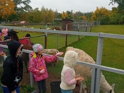 Pirmās klases apmeklē mini zoo Karlīnas 15.10.2024