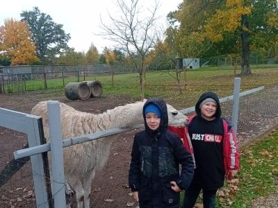 Pirmās klases apmeklē mini zoo Karlīnas 15.10.2024