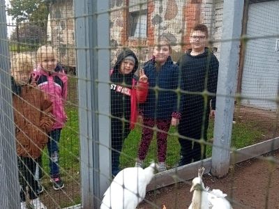 Pirmās klases apmeklē mini zoo Karlīnas 15.10.2024