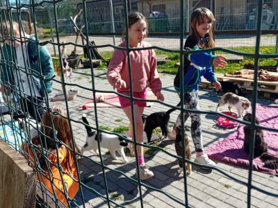Tūrisma diena- Iepazīsti savu pilsētu, skolas tuvāko apkārtni. (03.05.2024)