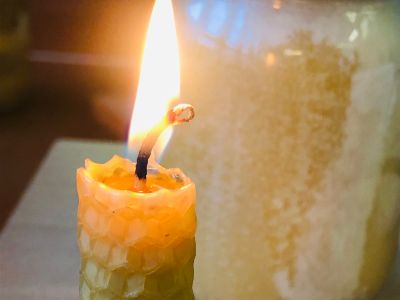 Skolēni tiekas ar bitenieku Daini Ugaini