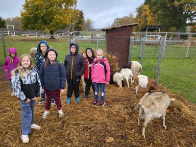 Pirmās klases apmeklē mini zoo Karlīnas 15.10.2024