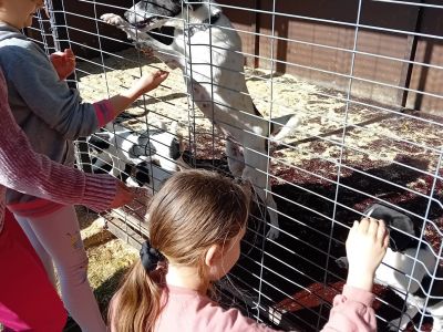 Tūrisma diena- Iepazīsti savu pilsētu, skolas tuvāko apkārtni. (03.05.2024)