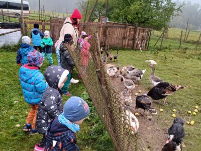 Bērnudārza audzēkņi apmeklē mini zoo 