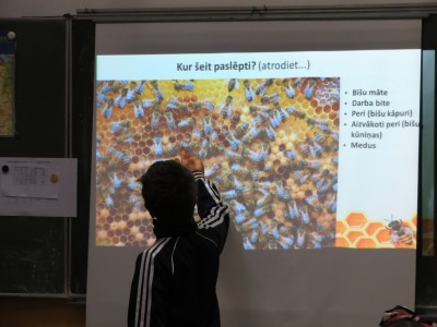 3. un 4. klases skolēni iepazīst bitenieka amatu.