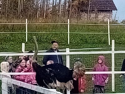 Pirmās klases apmeklē mini zoo Karlīnas 15.10.2024