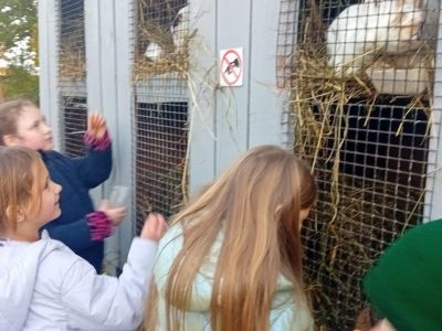 Pirmās klases apmeklē mini zoo Karlīnas 15.10.2024