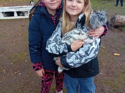 Pirmās klases apmeklē mini zoo Karlīnas 15.10.2024