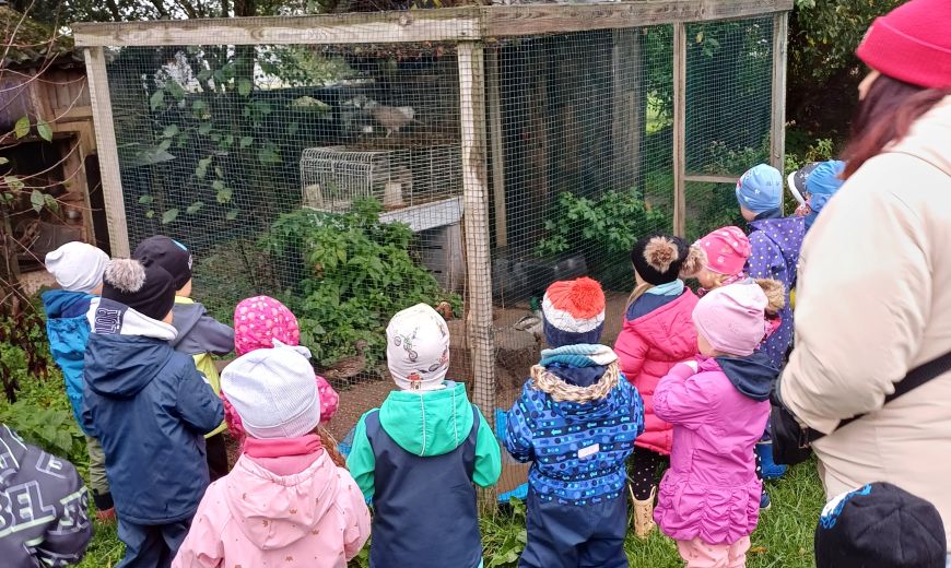 Bērnudārza audzēkņi apmeklē mini zoo 