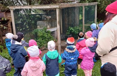 Bērnudārza audzēkņi apmeklē mini zoo 
